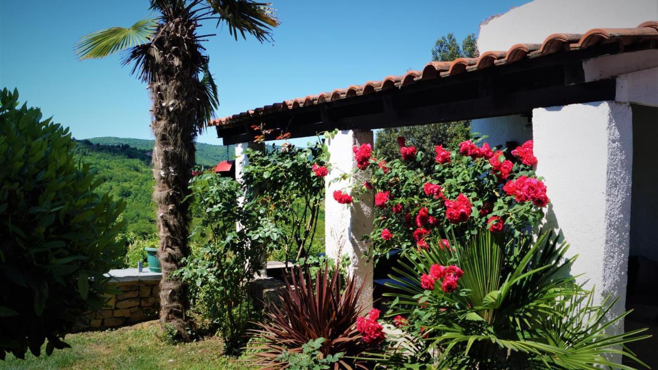 Garden Apartment Motovun