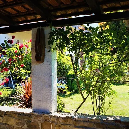 Apartments Garden Motovun Exterior foto