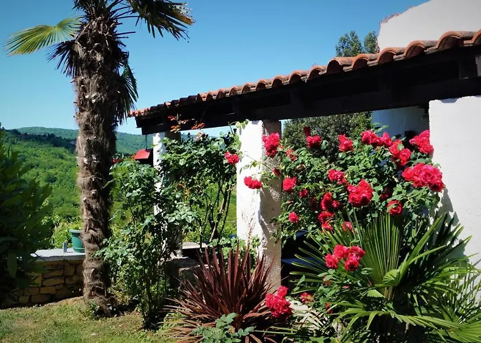 Apartments Garden