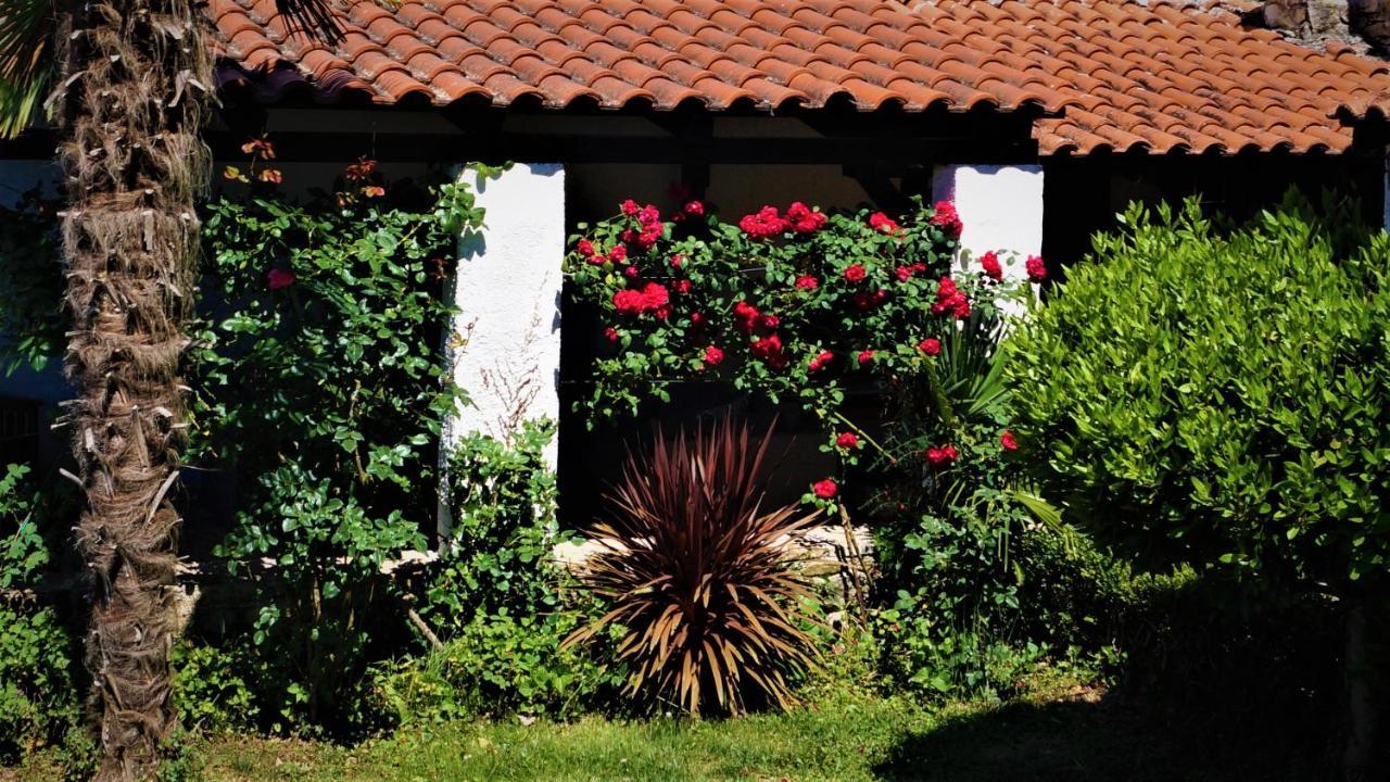 Garden * Motovun